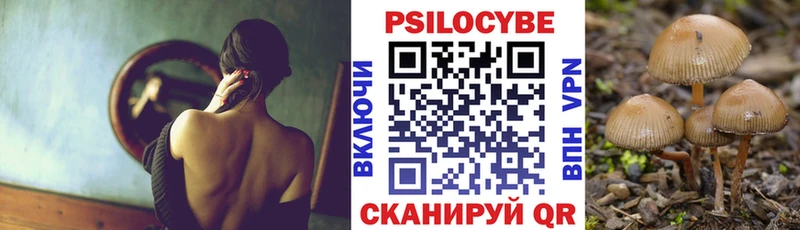 Псилоцибиновые грибы Psilocybine cubensis  Купить где  Чадан 